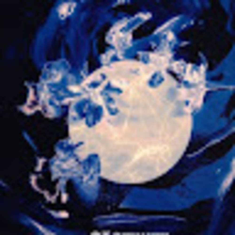 Meet your Posher, Kaida